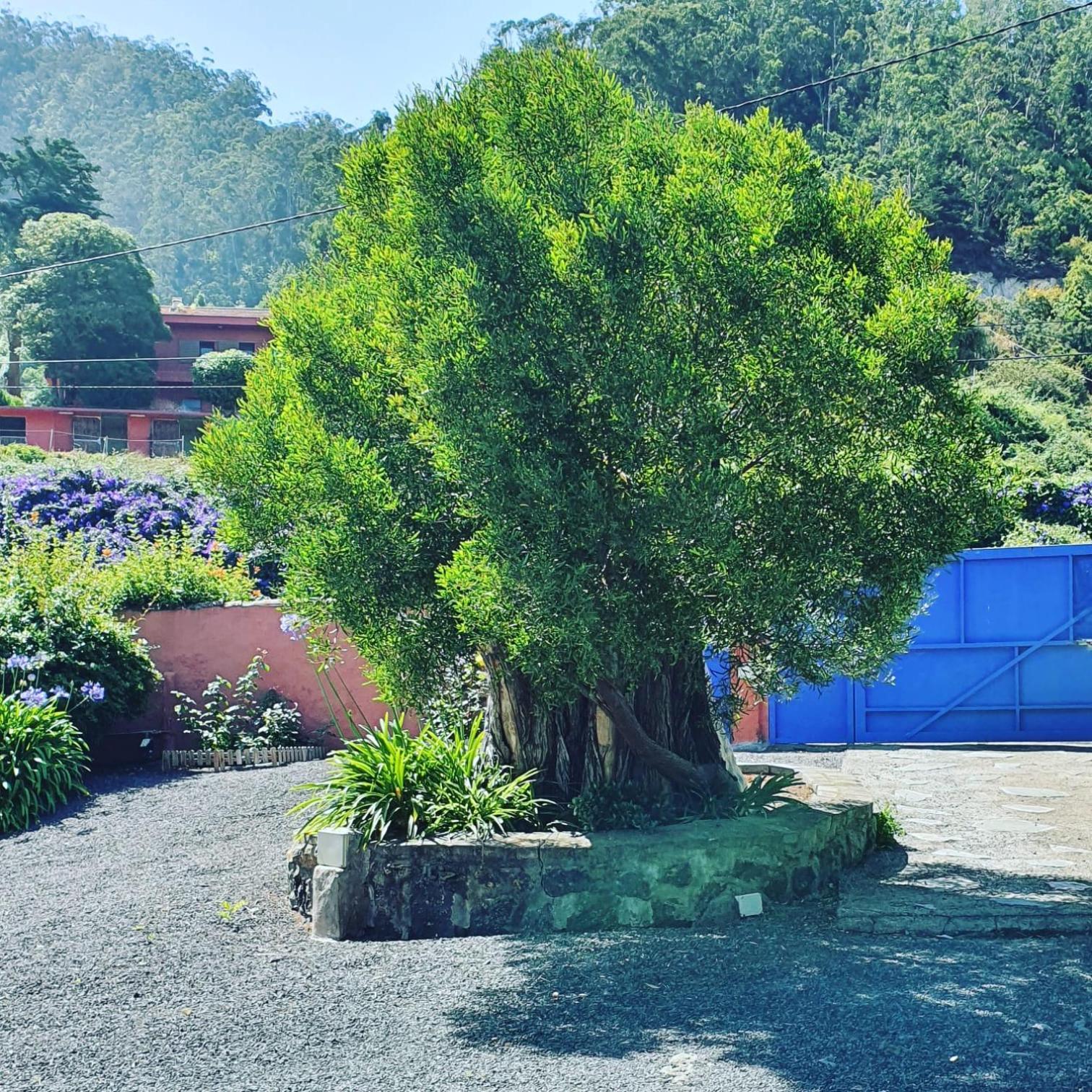 Casa El Porte Tegueste 외부 사진